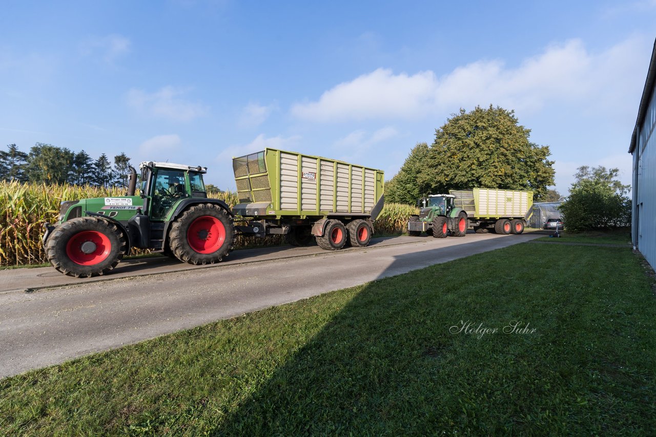 Bild 116 - Maisernte